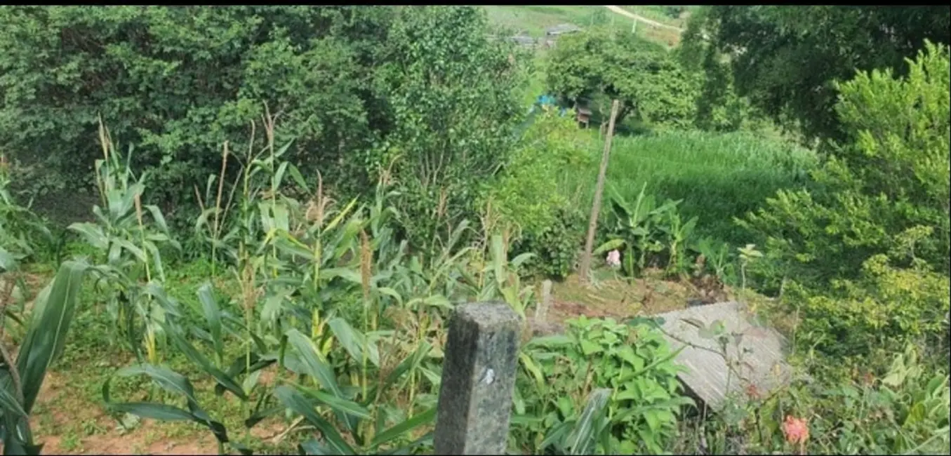 Sítio / Rancho com 3 quartos à venda, 96800m2 em Sao Luiz Do Paraitinga - SP - imagem 7 Foto 7 de Sítio / Rancho com 3 quartos à venda, 96800m2 em Sao Luiz Do Paraitinga - SP