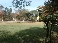 Imagem 8