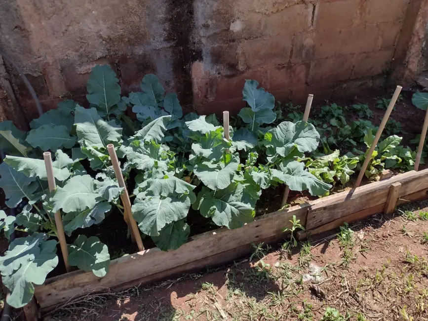 Foto 2 de Sítio / Rancho com 3 quartos à venda, 250m2 em Barreiro, Taubate - SP