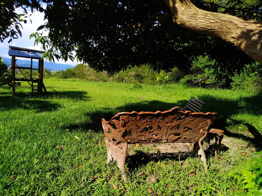 Foto 17 de Chácara à venda, 15000m2 em Mandú, Pindamonhangaba - SP