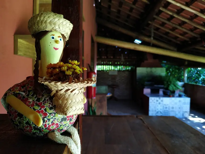 Foto 46 de Chácara à venda, 15000m2 em Mandú, Pindamonhangaba - SP