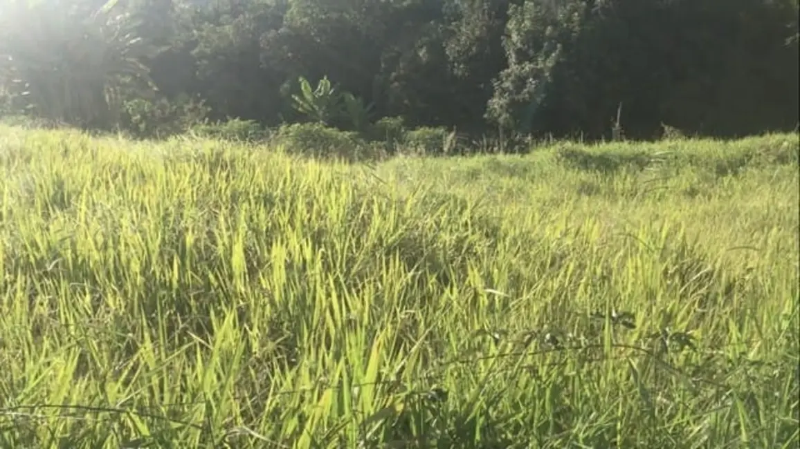 Chácara à venda, 2300m2 em Sao Luiz Do Paraitinga - SP - imagem 3 Foto 3 de Chácara à venda, 2300m2 em Sao Luiz Do Paraitinga - SP