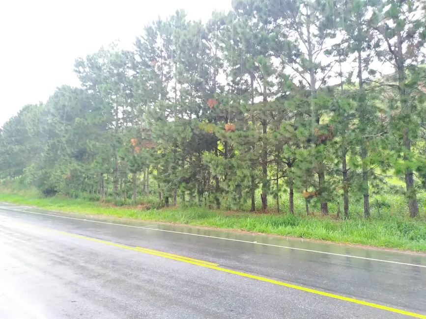 Foto 2 de Chácara à venda, 30000m2 em Silveiras - SP