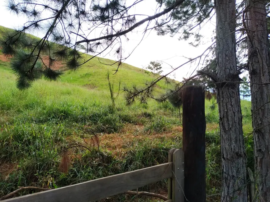 Foto 4 de Chácara à venda, 30000m2 em Silveiras - SP