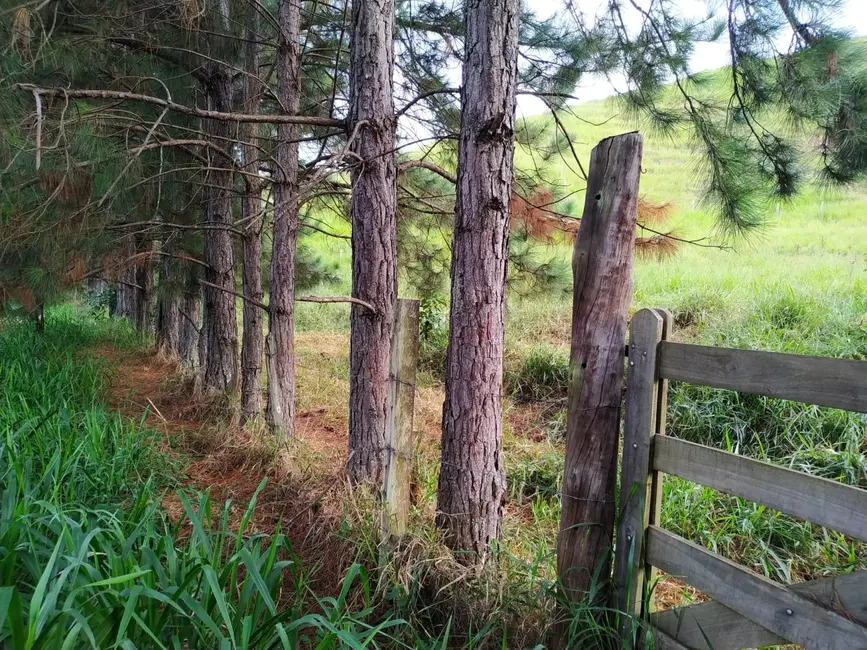 Foto 3 de Chácara à venda, 30000m2 em Silveiras - SP