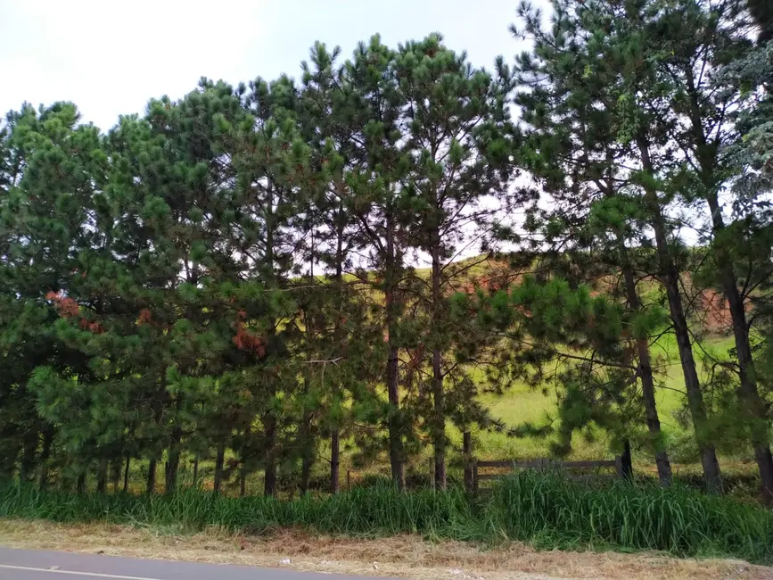 Foto 7 de Chácara à venda, 30000m2 em Silveiras - SP