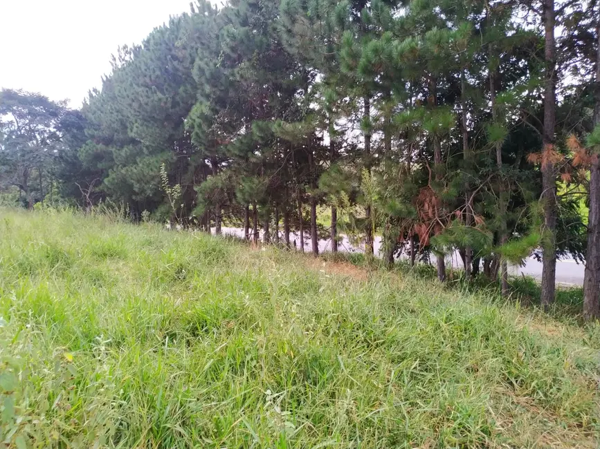 Foto 8 de Chácara à venda, 30000m2 em Silveiras - SP