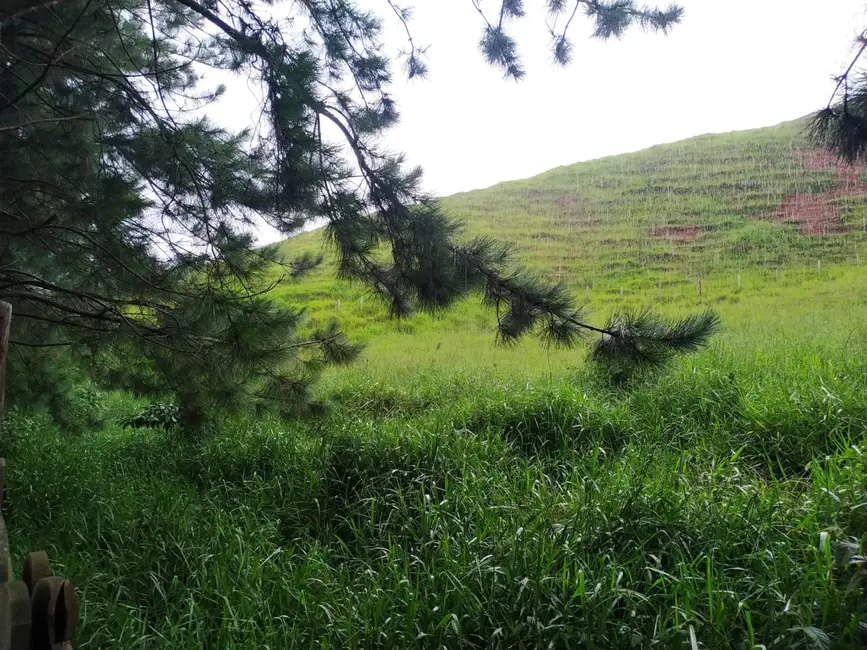 Foto 11 de Chácara à venda, 30000m2 em Silveiras - SP
