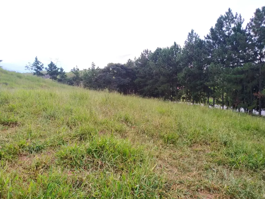 Foto 13 de Chácara à venda, 30000m2 em Silveiras - SP