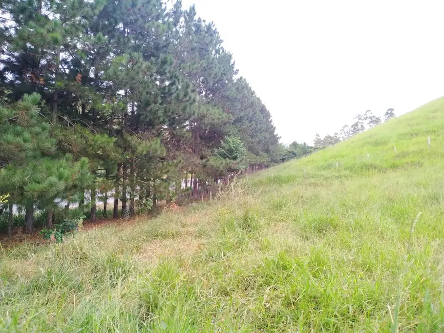 Foto 10 de Chácara à venda, 30000m2 em Silveiras - SP