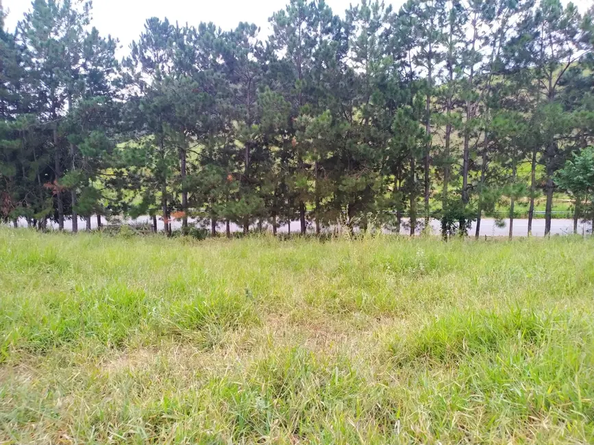 Foto 14 de Chácara à venda, 30000m2 em Silveiras - SP