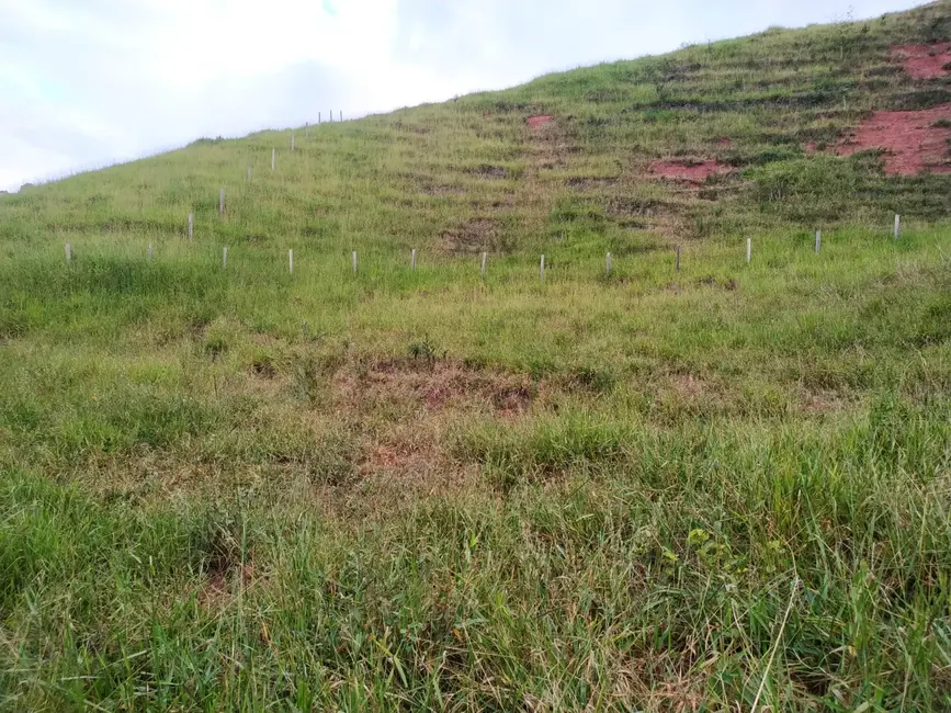 Foto 12 de Chácara à venda, 30000m2 em Silveiras - SP