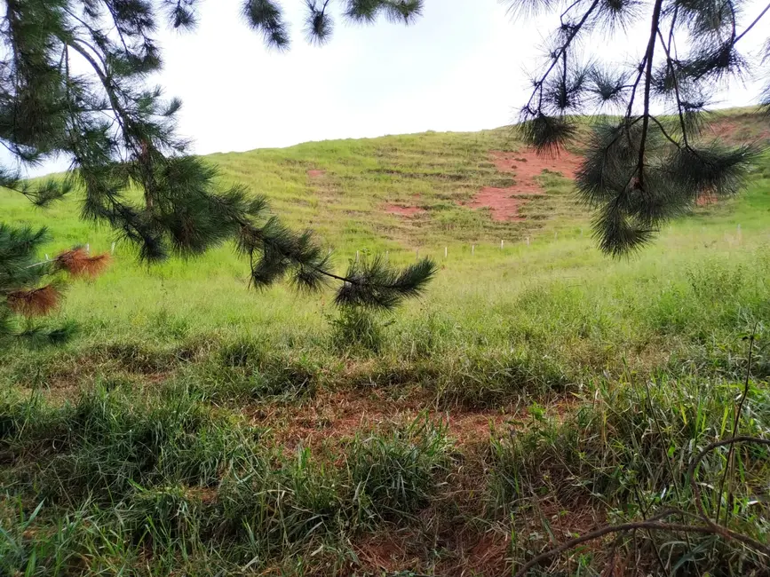 Foto 9 de Chácara à venda, 30000m2 em Silveiras - SP