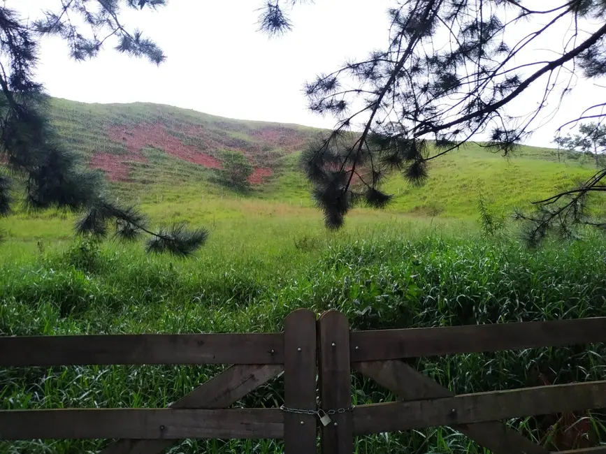 Foto 5 de Chácara à venda, 30000m2 em Silveiras - SP