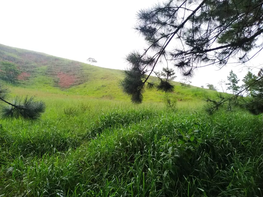 Foto 6 de Chácara à venda, 30000m2 em Silveiras - SP