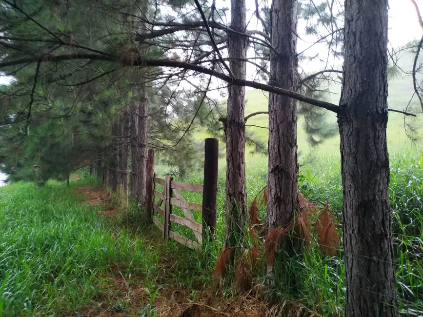 Foto 15 de Chácara à venda, 30000m2 em Silveiras - SP