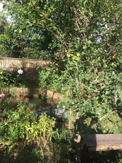 Foto 6 de Chácara com 3 quartos à venda, 2000m2 em Mandú, Pindamonhangaba - SP