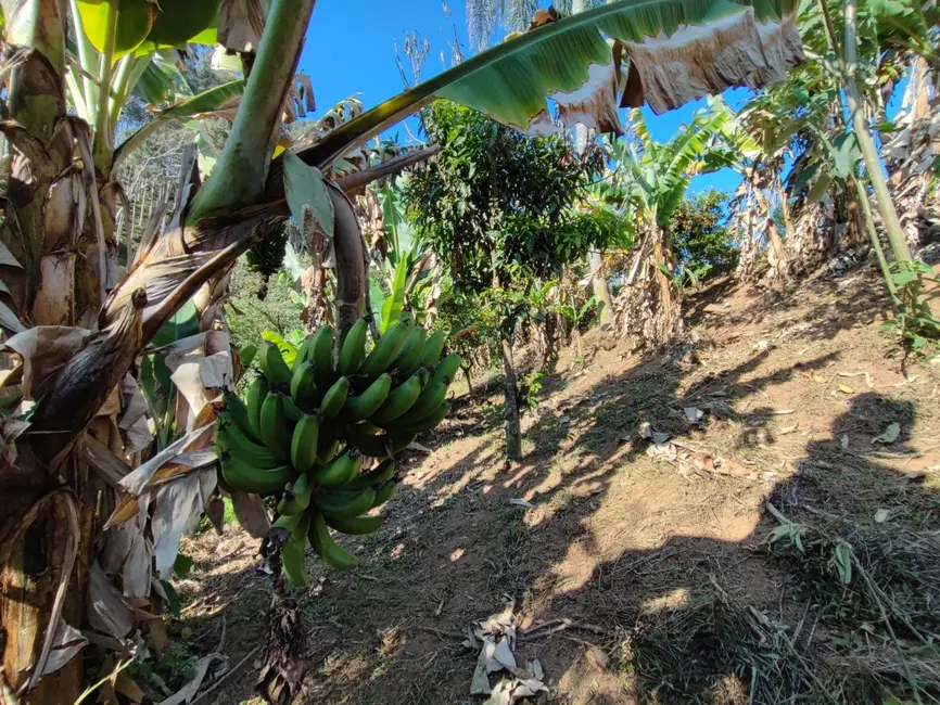 Foto 3 de Sítio / Rancho com 3 quartos à venda, 170m2 em Centro, Cunha - SP