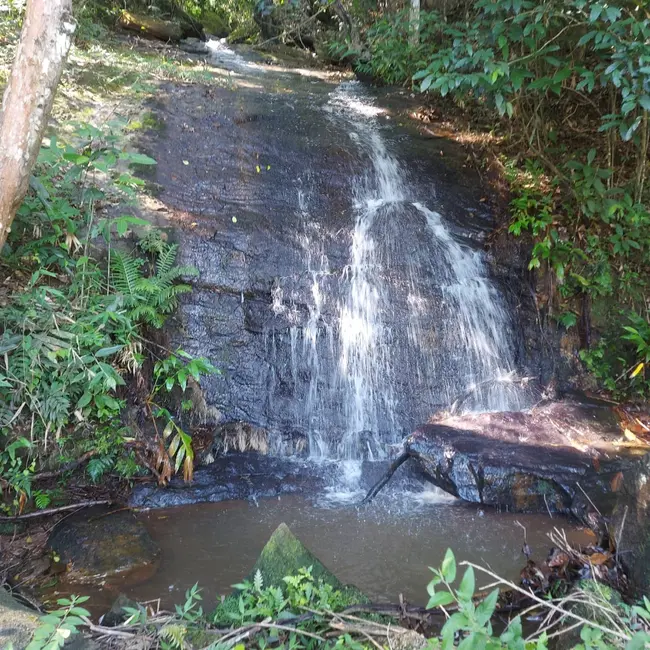 Foto 22 de Chácara à venda, 20000m2 em Mandú, Pindamonhangaba - SP