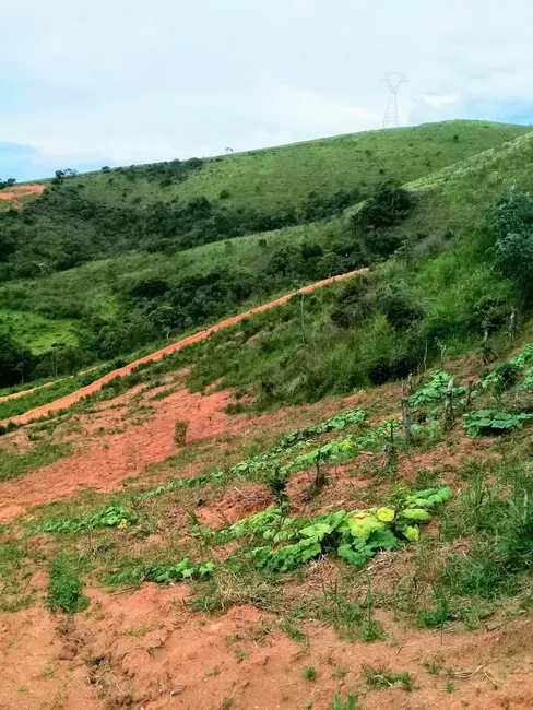 Foto 5 de Chácara à venda, 20000m2 em Mandú, Pindamonhangaba - SP