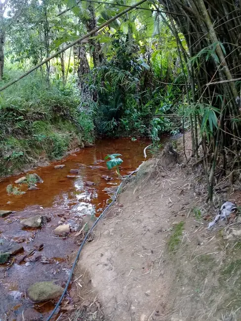 Foto 12 de Chácara à venda, 20000m2 em Mandú, Pindamonhangaba - SP
