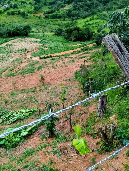 Foto 3 de Chácara à venda, 20000m2 em Mandú, Pindamonhangaba - SP