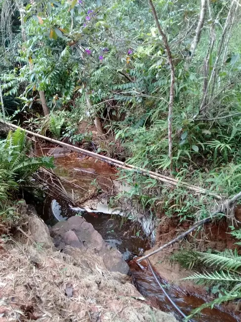 Foto 13 de Chácara à venda, 20000m2 em Mandú, Pindamonhangaba - SP