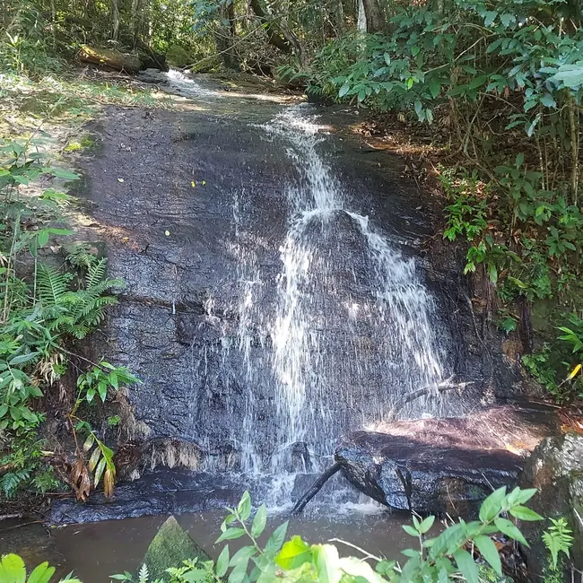 Foto 21 de Chácara à venda, 20000m2 em Mandú, Pindamonhangaba - SP
