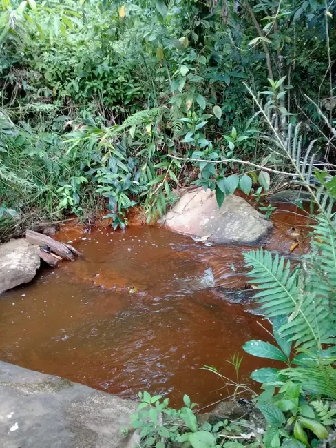 Foto 9 de Chácara à venda, 20000m2 em Mandú, Pindamonhangaba - SP