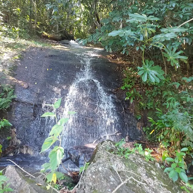Foto 18 de Chácara à venda, 20000m2 em Mandú, Pindamonhangaba - SP