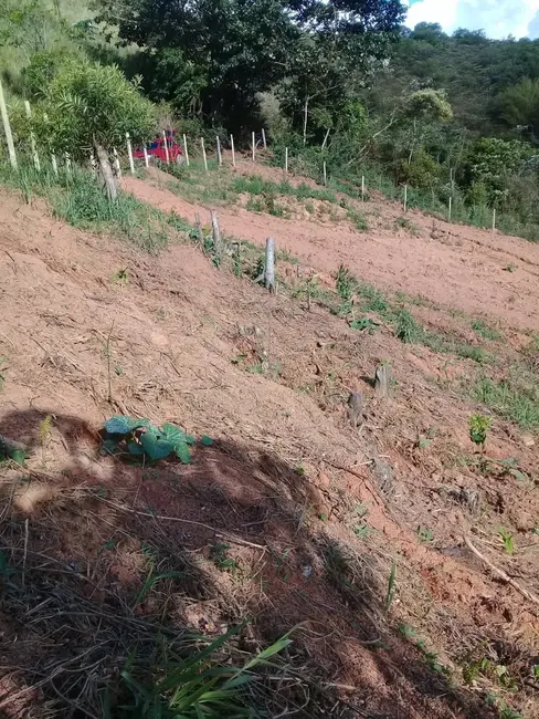 Foto 24 de Chácara à venda, 20000m2 em Mandú, Pindamonhangaba - SP