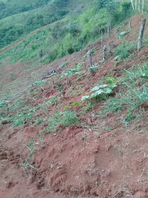 Foto 10 de Chácara à venda, 20000m2 em Mandú, Pindamonhangaba - SP