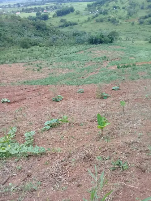 Foto 26 de Chácara à venda, 20000m2 em Mandú, Pindamonhangaba - SP