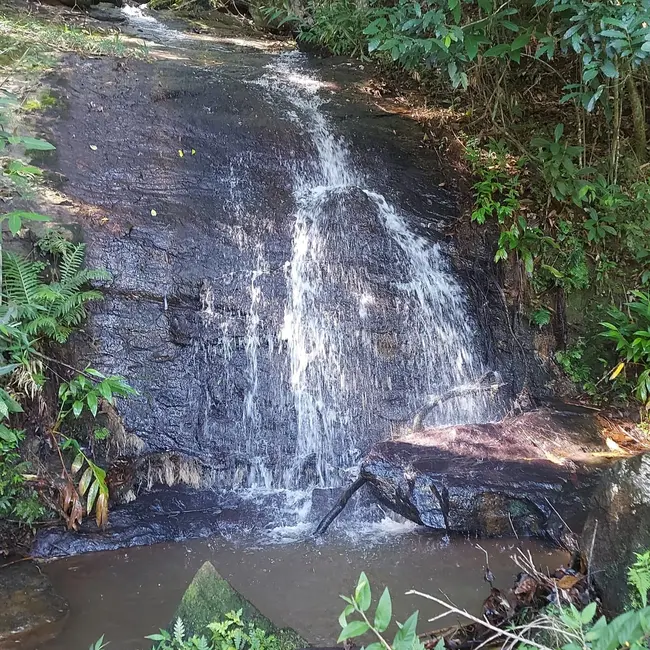 Foto 23 de Chácara à venda, 20000m2 em Mandú, Pindamonhangaba - SP