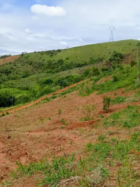 Foto 16 de Chácara à venda, 20000m2 em Mandú, Pindamonhangaba - SP