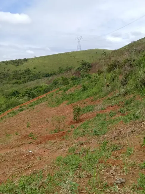 Foto 27 de Chácara à venda, 20000m2 em Mandú, Pindamonhangaba - SP