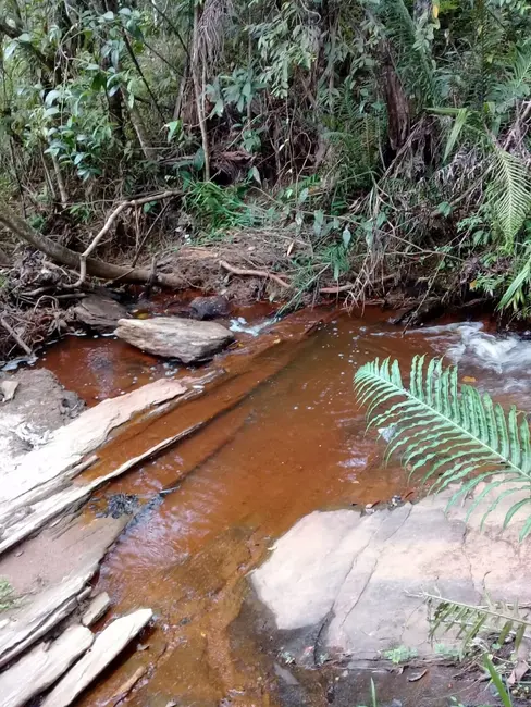 Foto 28 de Chácara à venda, 20000m2 em Mandú, Pindamonhangaba - SP