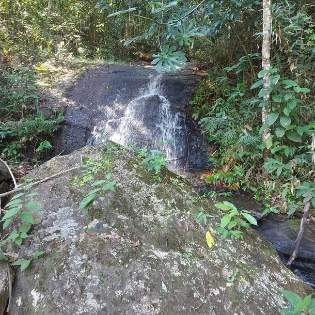 Foto 20 de Chácara à venda, 20000m2 em Mandú, Pindamonhangaba - SP