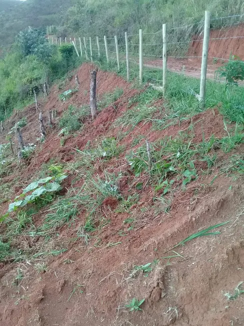 Foto 25 de Chácara à venda, 20000m2 em Mandú, Pindamonhangaba - SP