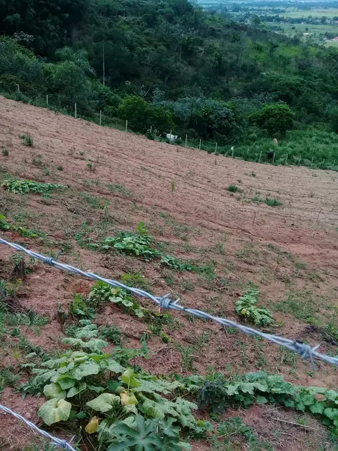 Foto 15 de Chácara à venda, 20000m2 em Mandú, Pindamonhangaba - SP