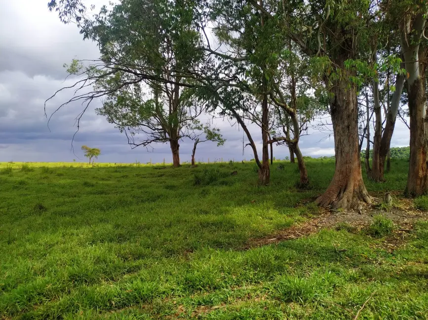 Foto 4 de Sítio / Rancho à venda, 170000m2 em Bom Sucesso, Pindamonhangaba - SP