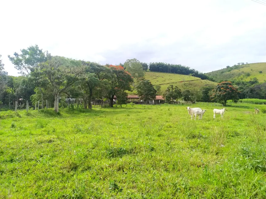 Foto 3 de Sítio / Rancho à venda, 170000m2 em Bom Sucesso, Pindamonhangaba - SP