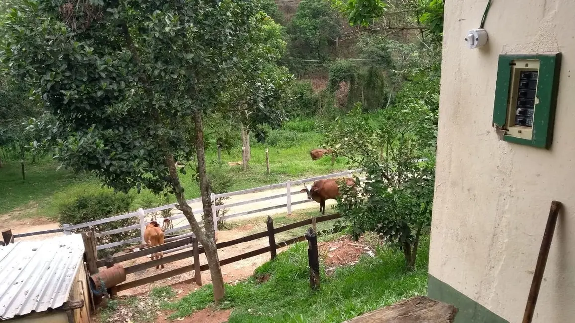 Foto 8 de Chácara com 3 quartos à venda, 20000m2 em Guaratingueta - SP