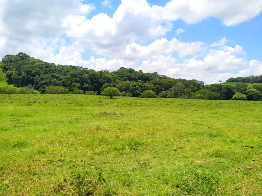 Foto 6 de Chácara com 2 quartos à venda, 411400m2 em Cunha - SP