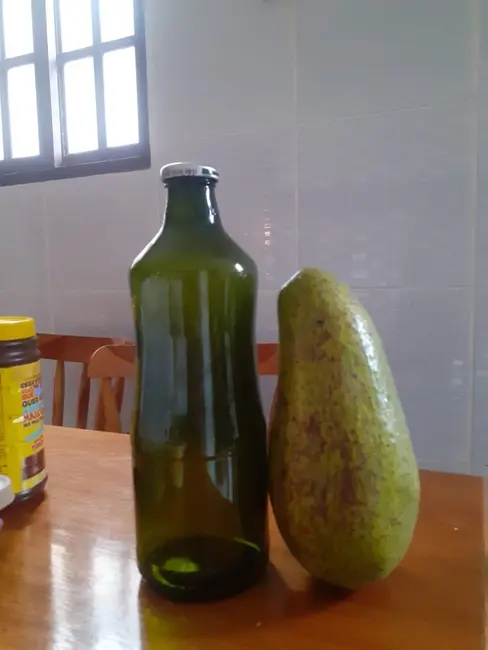 Foto 7 de Chácara com 2 quartos à venda, 3860m2 em Taubate - SP