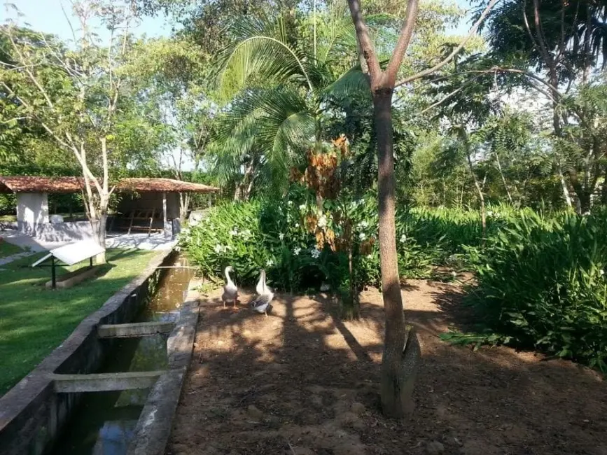 Chácara com 3 quartos à venda, 300m2 em Bom Sucesso, Pindamonhangaba - SP - imagem 3 Foto 3 de Chácara com 3 quartos à venda, 300m2 em Bom Sucesso, Pindamonhangaba - SP