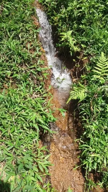 Foto 1 de Chácara à venda em Cunha - SP