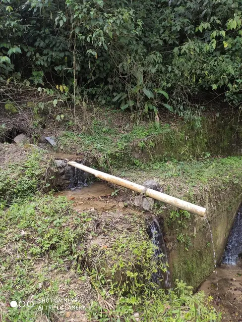 Chácara à venda, 36245m2 em Piquete - SP - imagem 5 Foto 5 de Chácara à venda, 36245m2 em Piquete - SP