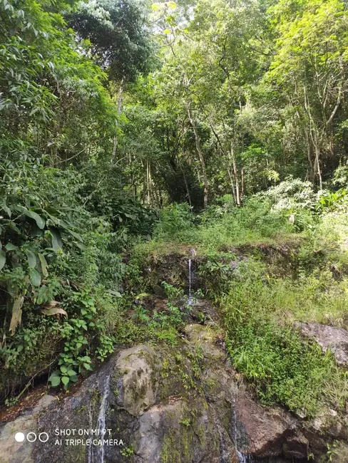 Foto 1 de Chácara à venda, 36245m2 em Piquete - SP