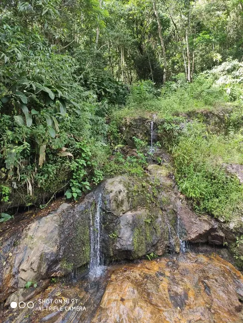 Chácara à venda, 36245m2 em Piquete - SP - imagem 3 Foto 3 de Chácara à venda, 36245m2 em Piquete - SP